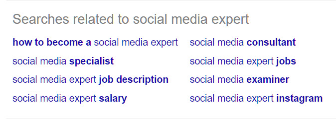 Social Media Expert